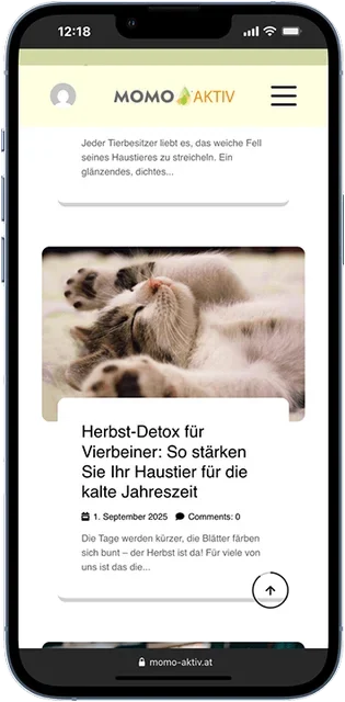 Momo-Aktiv auf dem Smartphone
